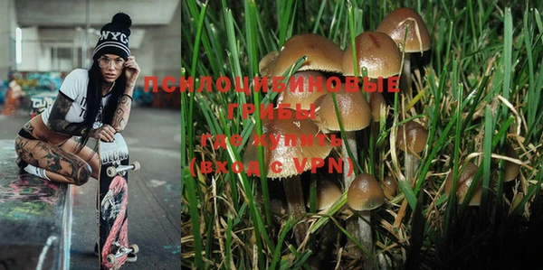 прущая мука Лиски
